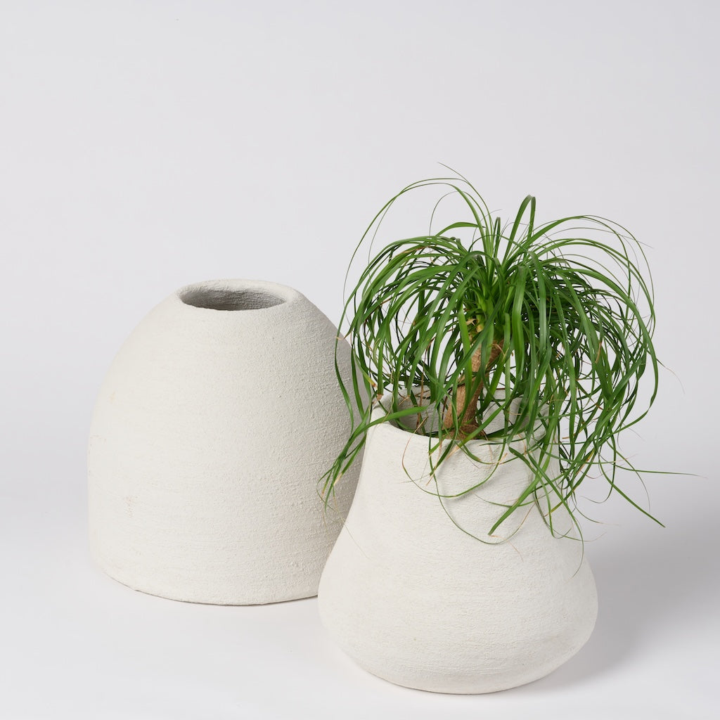 Planter - Belle Small