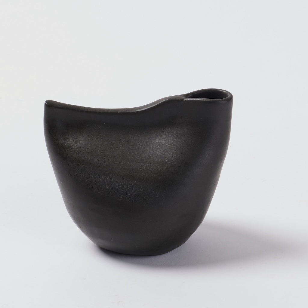 Black Bird Vase