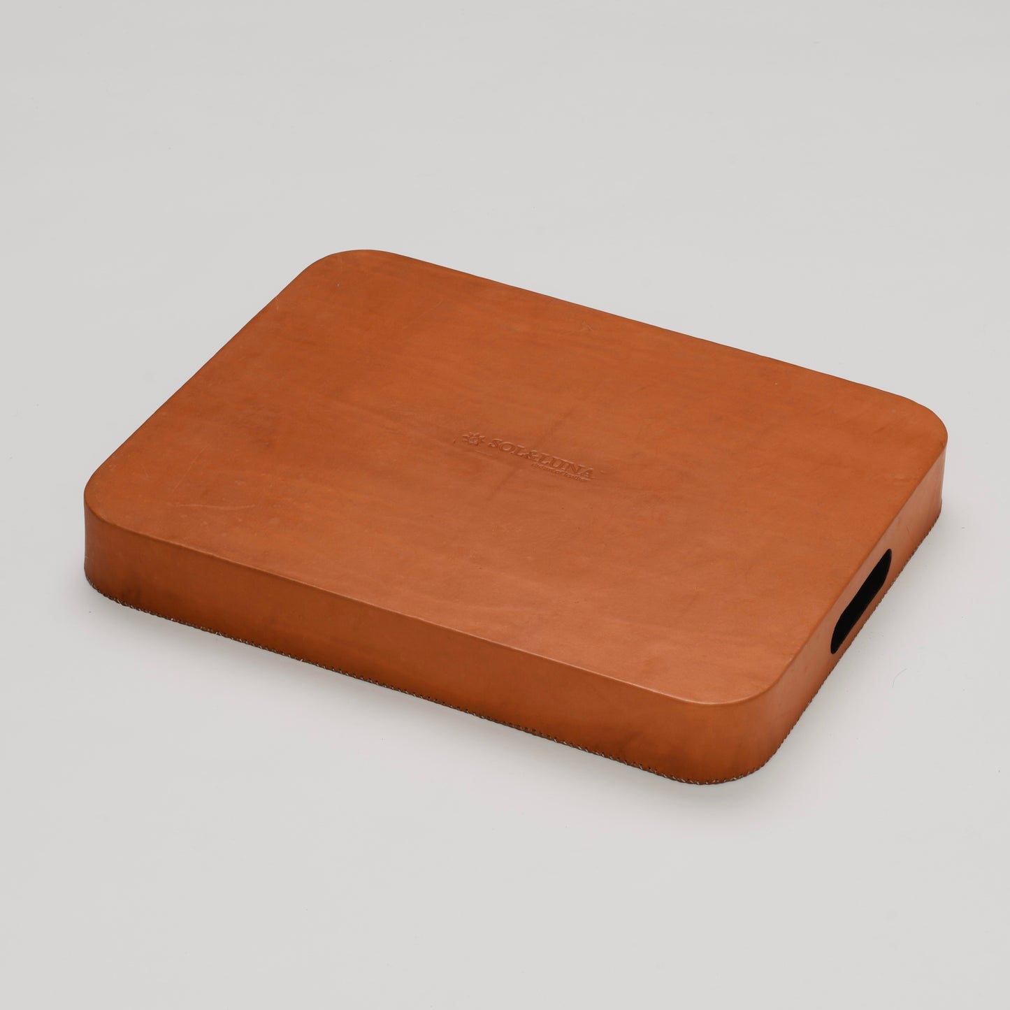 Leather Tray